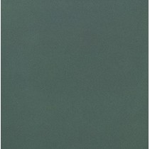 Casalgrande Padana Unicolore Technic Levigato Verde 8
